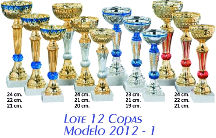 lote 12 copas 2012-1