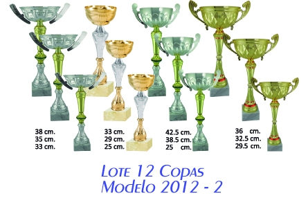 lote 12 copas 2012-2