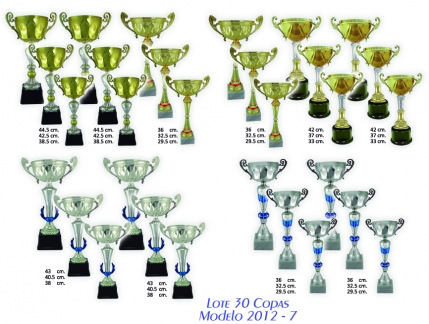 lote 30 copas 2012-7