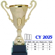 CY 2025