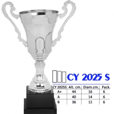 CY 2025s